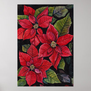 Póster Poinsettia vibrante en acuarela
