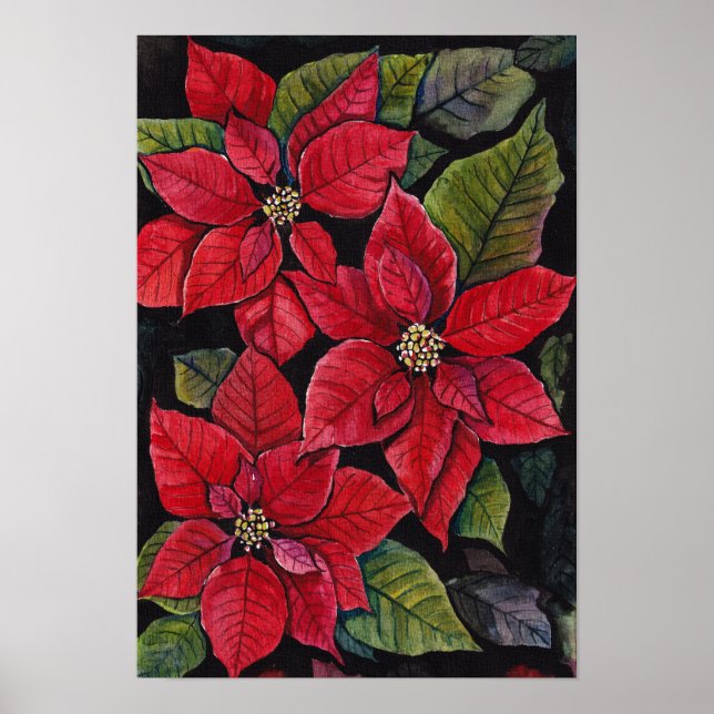 Póster Poinsettia vibrante en acuarela (Frente)