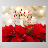Poinsettias rojas con Navidades del Bokeh de Oro