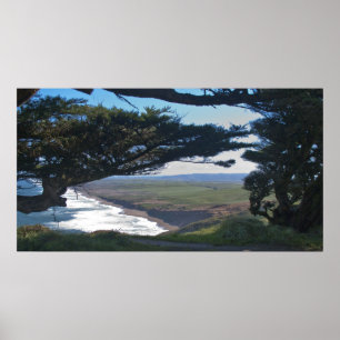 Póster Point Reyes Among Trees