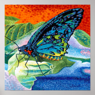 Póster Poised Butterfly II