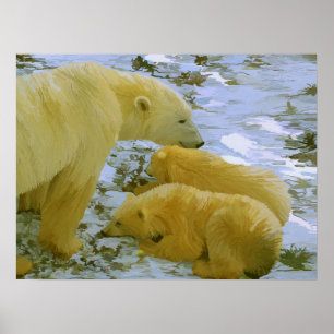 Póster Polar Bear mamá y sus cubos papel impreso