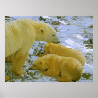 Póster Polar Bear mamá y sus cubos papel impreso