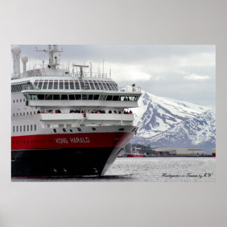 Póster Polar Cruiseship Poster