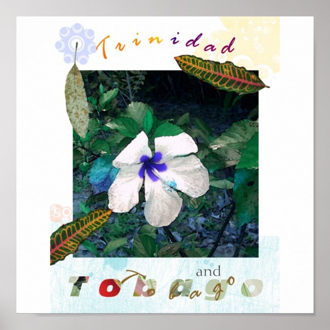 Póster polen azul ts zazzle (Frente)