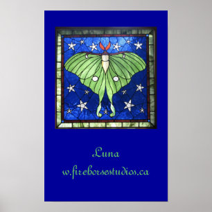 Póster Polilla de Luna