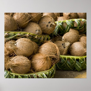 Póster Polinesia, Reino de Tonga. Exhibición de cocos