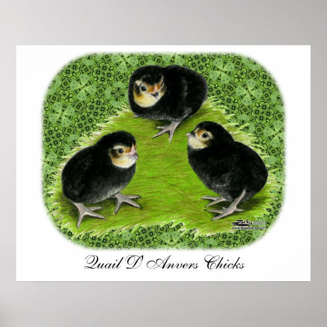 Póster Pollitos Bantam en el Jardín (Frente)