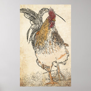 Póster Pollo atado oro