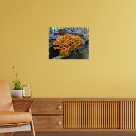 Póster Pollo de monte naranja