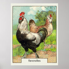 Póster Pollo Faverolles Vintage