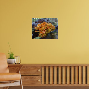 Póster Pollo naranja del champiñón de Woods