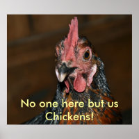 Pollo - Poster
