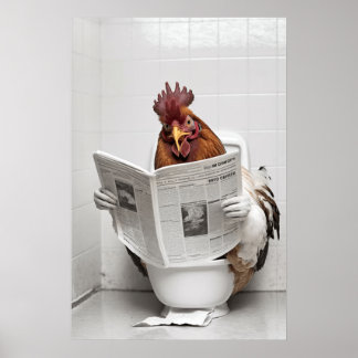 Póster Pollo sentado en el inodoro leyendo un periódico