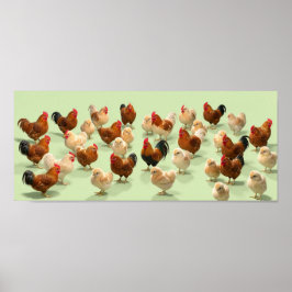 Póster Pollo sobre fondo verde claro