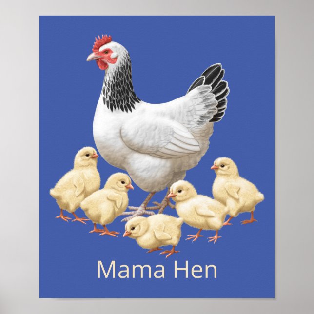 Póster Pollo Sussex Mama Hen y Chicas (Frente)