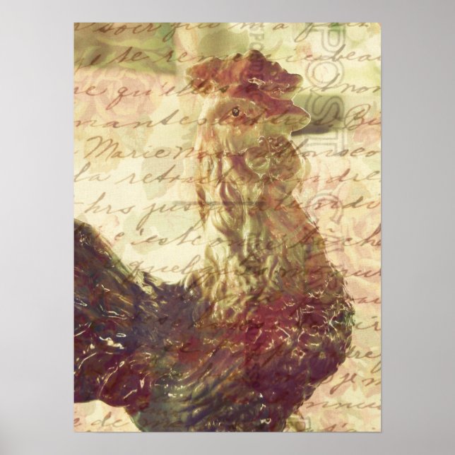 Póster Pollo vintage (Frente)