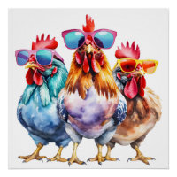 Pollos acuáticos con grandes gafas de sol