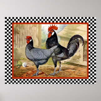 Póster Pollos andaluces en granja