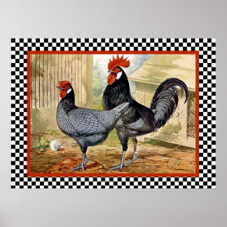 Póster Pollos andaluces en granja