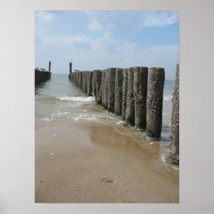 Póster Pollos de playa y Poster de fotografía marina