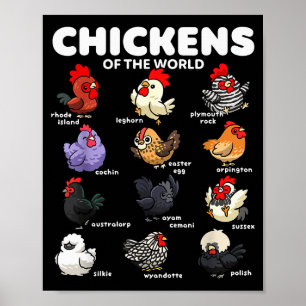 Póster Pollos Del Mundo Dibujos Animados Divertidos Razas
