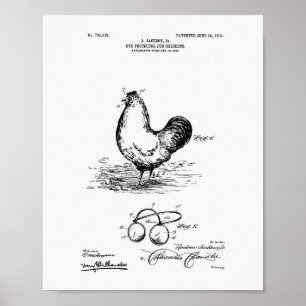 Póster Pollos protectores oculares de 1903 Patent Art Whi