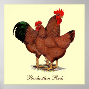 Póster Pollos rojos de producción