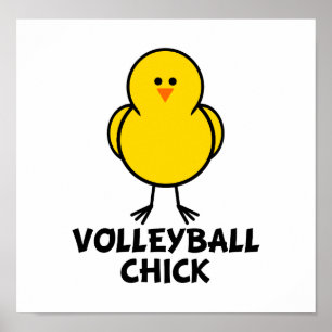 Póster Polluelo del voleibol
