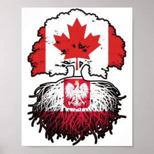 Póster Polonia Bandera polaca de árboles de Canadá canadi