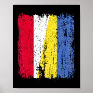 Póster Polonia Ucrania Media Bandera Herencia Polaca Ucra