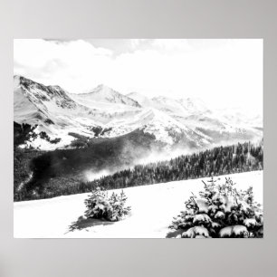 Póster Polvo de nieve fresca // Negro y Blanco