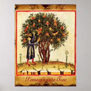 PÓSTER POMEGRANATE TREE ANTIQUE PARCHMENT