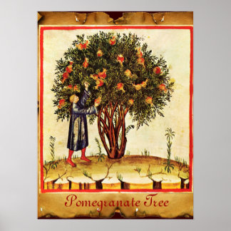 PÓSTER POMEGRANATE TREE ANTIQUE PARCHMENT