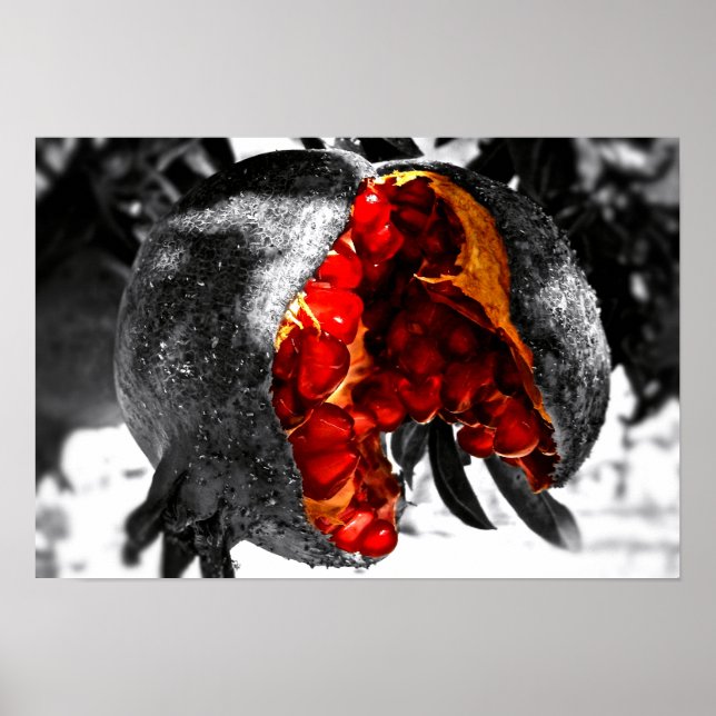 Póster Pomegranato (Frente)