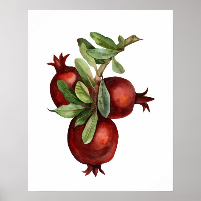 Póster Pomegranato Orgánico de Acuarela (Frente)