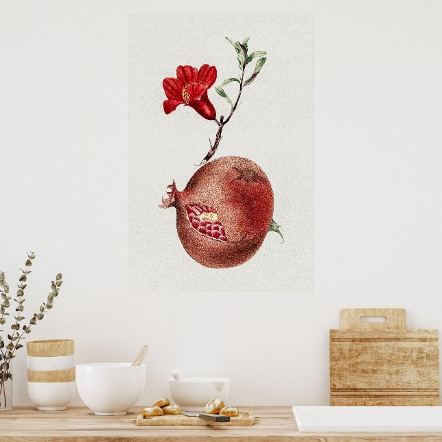 Póster Pomegranato vintage (Cocina)