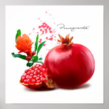 Pomegranato y salpicadura. Ilustracion acuarela