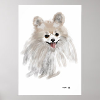 Póster Pomerainiano
