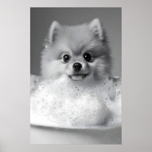Póster Pomerania en estampa de baño de burbujas, Perro di