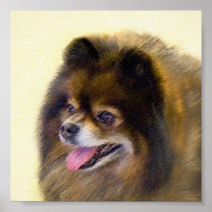 Póster Pomerania Negra y Tan Pintura Original de Perro