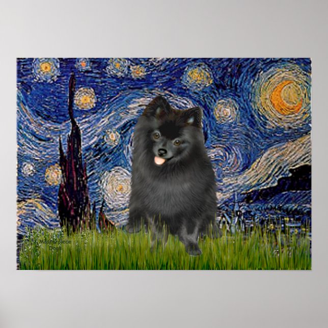 Póster Pomerania (negro) - Noche estrellada (Frente)