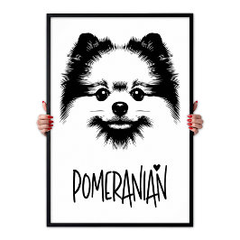 Póster Pomeranian Pop Art Black & White Chic Aesthetic