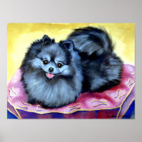 Pomeranian Wall Print Poster
