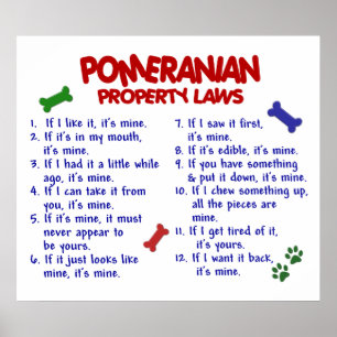 PÓSTER POMERANIANO PL2