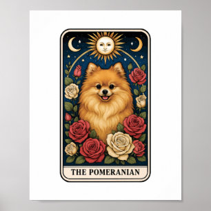 Póster Pomerano