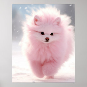 Póster Pomerano rosa en la nieve