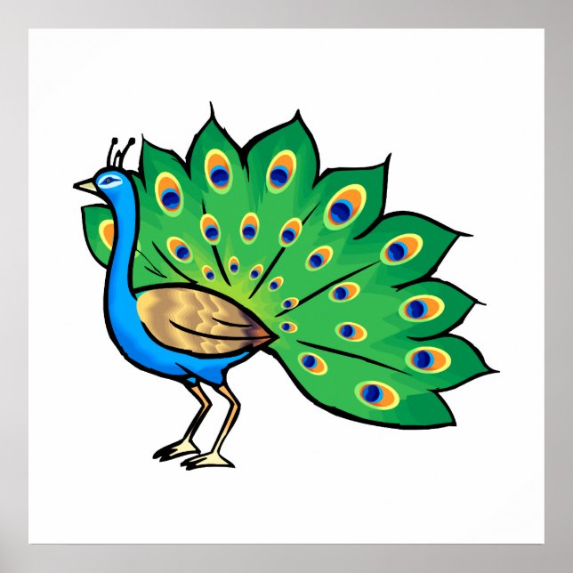 Póster Ponce Peacock (Frente)