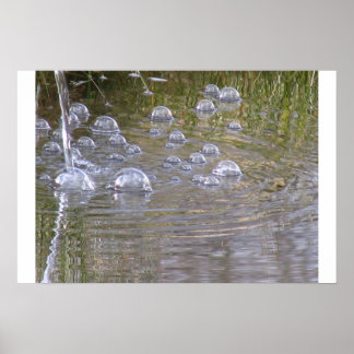Póster pond bubbles