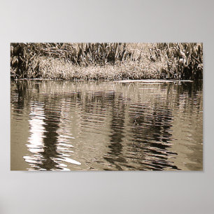Póster Pond Sepia Photograph